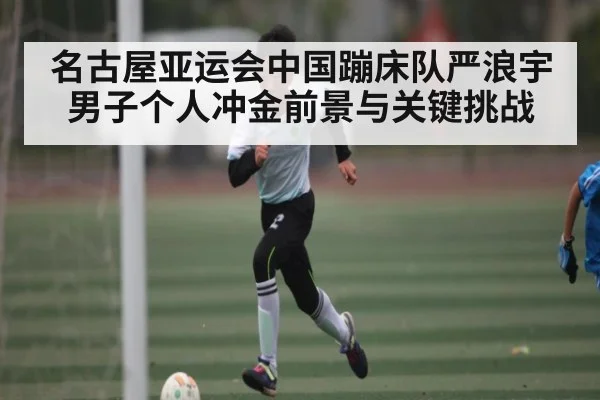名古屋亚运会中国蹦床队严浪宇男子个人冲金前景与关键挑战（kaiyun）